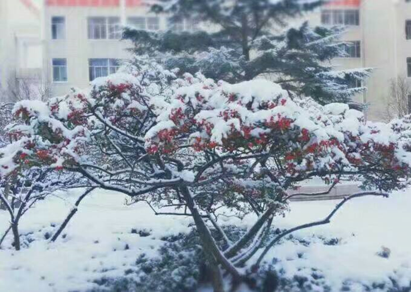 雪景 (7).jpg 雪景 (7).jpg